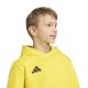 4. Adidas ENTRADA 26 Hoody Junior JZ6564 Sweatshirt