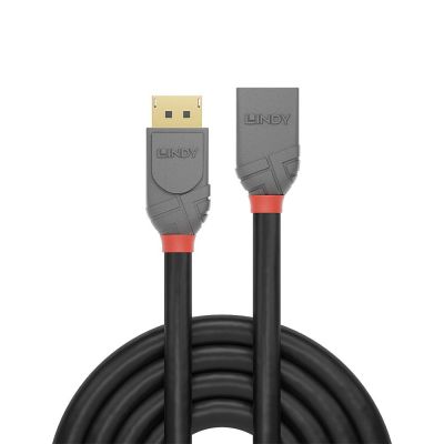 3. Lindy 36498 DisplayPort-Kabel 3 m Schwarz