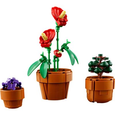 5. LEGO Icons 10329 - Kleine Pflanzen