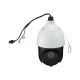 8. LevelOne IPCam25xZ 2MP/H.265/IR/20W/PoE/IP66 PTZ Dome-Ausgang