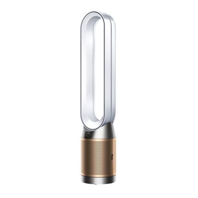 DYSON Purifier Cool PC2 De-No Luftreiniger