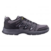 Herren-Trekkingschuhe DARIDA LOW