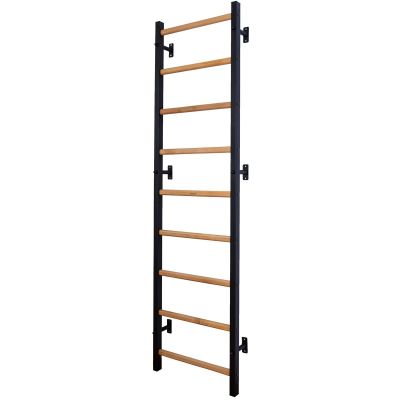 20. Turnleiter mit verstellbarer Stange und Griffbank K 732B