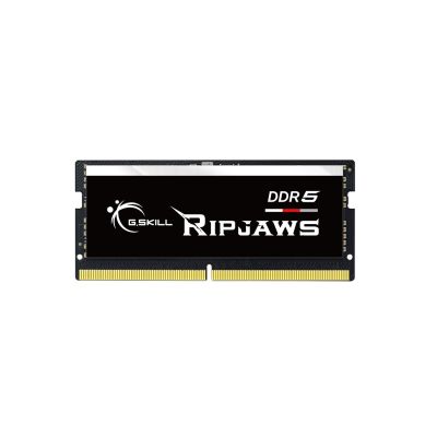 G.Skill Ripjaws F5-4800S4039A16GX1-RS Speichermodul 16 GB 1 x 16 GB DDR5 262-Pin SO-DIMM