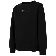 Sweatshirt 4F W H4Z22 BLD020 20S