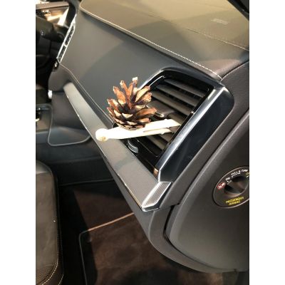 6. Pani Szyszka HORIZONTAL TRAVEL Set 1 x Pani Szyszka + 1 Mischung ätherischer Öle (LP-HORIZONTAL-TRAVEL)