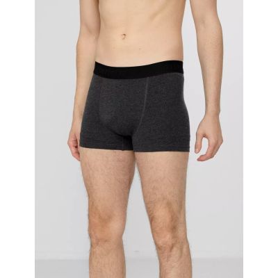 7. Boxershorts 4F M H4Z22-BIM350-92S