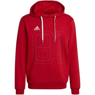 Adidas Entrada 22 Hoody M H57514 Sweatshirt