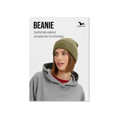 2. Poster (Englisch)