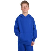 Jungen-Sweatshirt 4F M1945 Kobalt 4FJWAW25TSWSM1945 36S