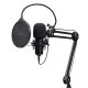 TRUST GXT 270 EMITA II Mikrofon schwarz