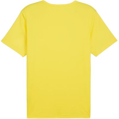 4. Puma teamRISE Matchday Trikot M 706132 07