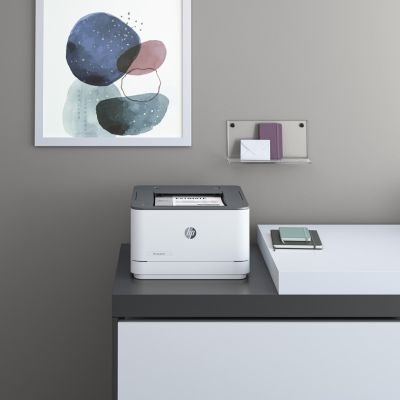 10. HP LASERJET PRO 3002DN DRUCKER