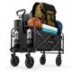 Wozinsky WZP-80 Strand-, Touristen- und Gartenwagen, robust, breite Räder, bis 80 kg - schwarz