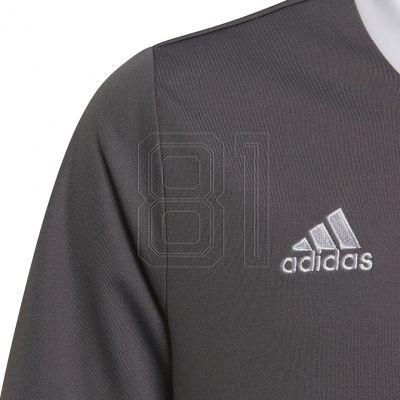 3. Adidas Entrada 22 Jsy Jr T-Shirt H57499