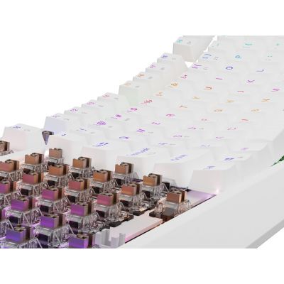 16. GENESIS Thor 230 TKL USB + RF QWERTY-Tastatur