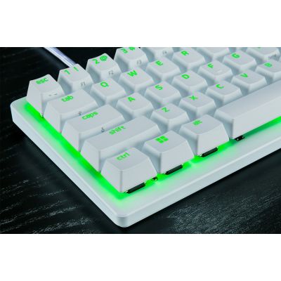 3. Razer RZ03-04990100-R3M1 Gaming-Tastatur USB QWERTY UK International Weiß