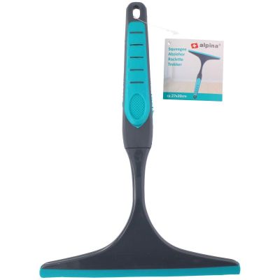 2. ALPINA Fenster- und Spiegelwischer mit Griff