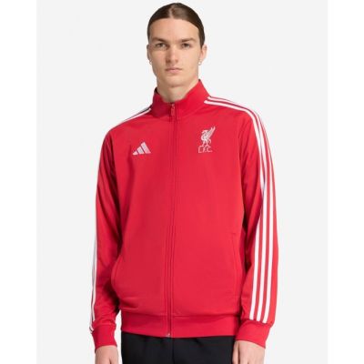 2. adidas Liverpool LFC DNA-Sweatshirt JW7892