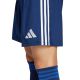 6. adidas Tastigo 25 M JN7158 Shorts