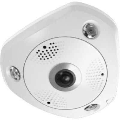 2. LevelOne IPCam 12MP/H.265/IR/12W/PoE/IP67 Fisheye-Dome-Kamera