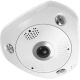 2. LevelOne IPCam 12MP/H.265/IR/12W/PoE/IP67 Fisheye-Dome-Kamera