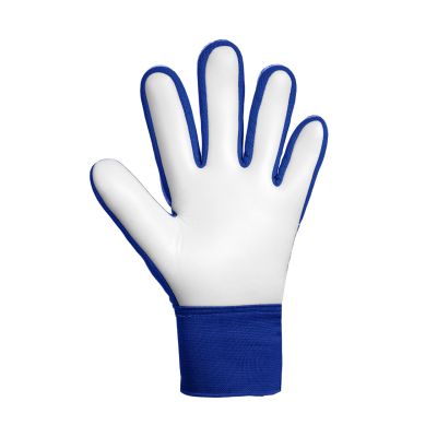 3. Reusch Attrakt Starter Solid Junior Torwarthandschuhe blau 5672514 4126