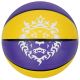 6. Nike Lebron James Playground 8P 2.0 Ball N1004372-575