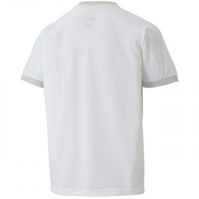 3. Puma teamGOAL 23 Trikot Jr 704160 04