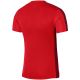 6. Nike DF Academy 23 SS M DR1336 657 T-Shirt