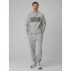 3. Herren-Kapuzenpullover, regulär, Größe 4F 4FRSS26TSWSM2975-20S