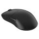 Endgame Gear XM2we Gaming-Maus, kabellos (RF) + USB Typ-C, optisch, 19000 DPI