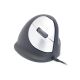 30. Ergonomische Maus für Rechtshänder R-Go Pele HE USB groß schwarz/silber (Einzelhandel)