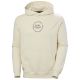 Helly Hansen Core Graphic Sweat Hoodie M 53924 034