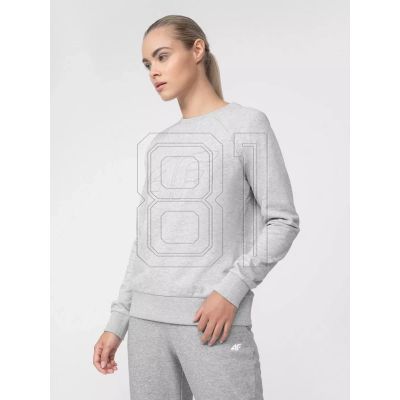 8. Sweatshirt 4F W 4FSS23TSWSF370-27M