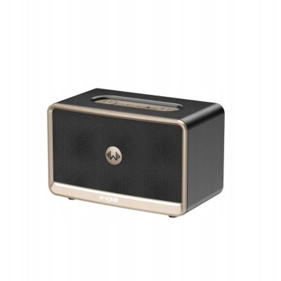 Kabelloser Bluetooth-Lautsprecher W-KING H330 schwarz
