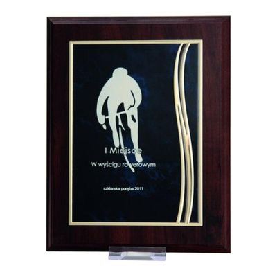 2. Diplom aus Kunststoff mit gravierter Metallplatte