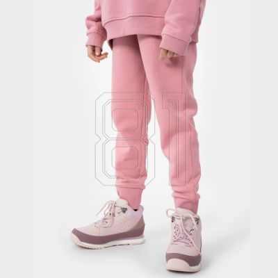 4. Hose 4F Jr HJL22-JSPDD001 56M