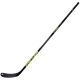 3. Fischer CT950 Sr Composite Stick H10418,60,085