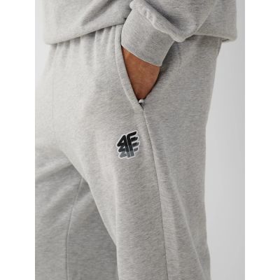 4. Herren-Jogginghose 4F 4FRAW26TTROM2176-27M