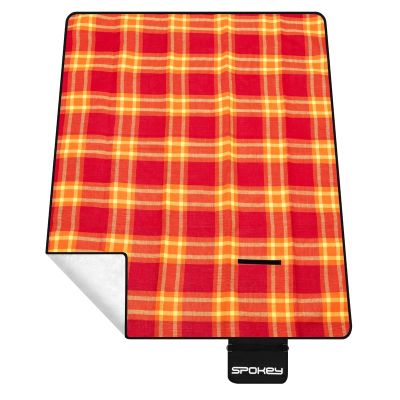 18. Picknick-Sonnenuntergang-Picknickdecke 922271
