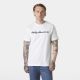 8. Helly Hansen Core Graphic T 2.0 M T-Shirt 54599 001
