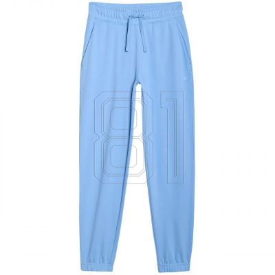 Trousers 4F CAS F1138 W 4FWMM00TTROF1138 32S