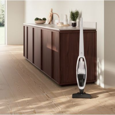 7. Staubsauger ELECTROLUX ES31CB18SH