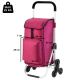 12. Expert Premium 604353 Einkaufswagen