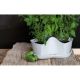 2. VERICAL GARDEN CASCADE KRÄUTERTOPF - WEISS