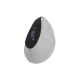 10. NATEC EUPHONIE PRO BT5.0 kabellose Maus, 4000 DPI, leise, programmierbar