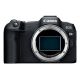 Canon EOS R8 - RF 24-50mm Digitalkamera