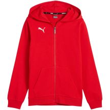 Puma teamGoal Casuals Kapuzen-Sweatshirt für Kinder rot 658596 01