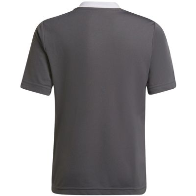 7. Adidas Entrada 22 Jsy Jr T-Shirt H57499